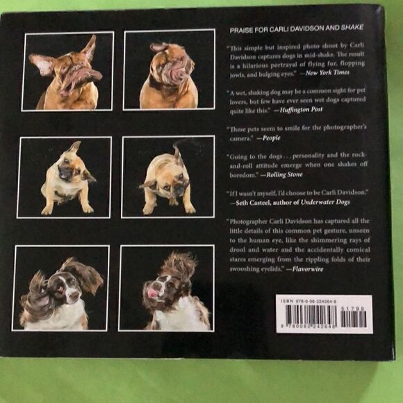 Shake by Carli Davidson  - Picture 2 of 4